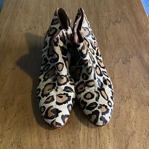 Sam Edelman, calf hair leopard booties